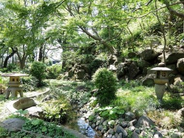 等々力渓谷日本庭園