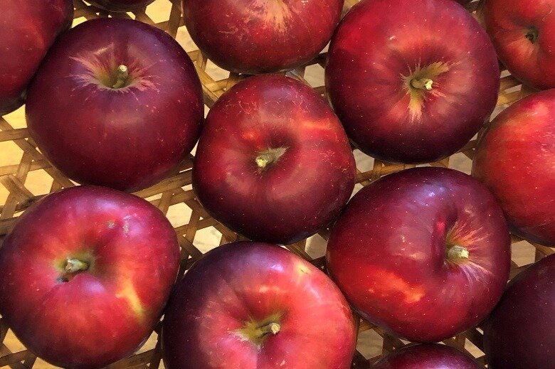 青森のりんご農家さん「あっぷりんご園」から初物の紅玉が届きました