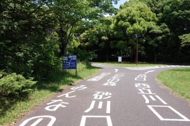 昭和記念公園サイクリングコース園内の分岐点